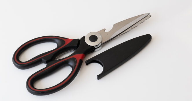 Surprising purpose of the metal teeth between scissors