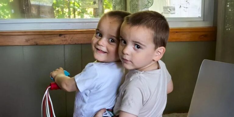 Twin Toddlers Die After Walk to the Store With Their Mother – Details