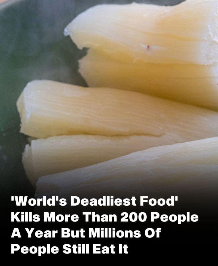 Despite Being the ‘World’s Deadliest Food,’ 500 Million Still Consume It, and It Claims Over 200 Lives Annually