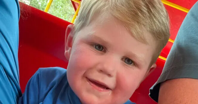 Georgia toddler stung over 150 times by yellow jackets, fighting for life