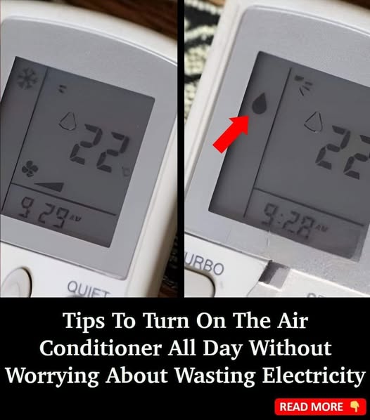 12 Tips to Keep Your Air Conditioner Running Efficiently Without Breaking the Bank