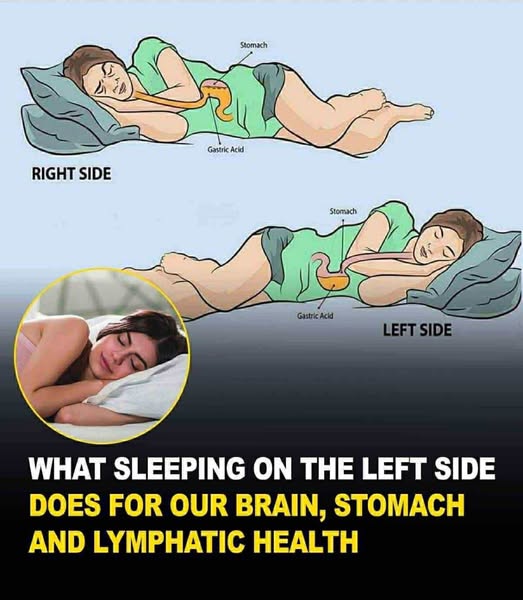 This is what sleeping on the left side does for our brain, stomach & glymphatic health